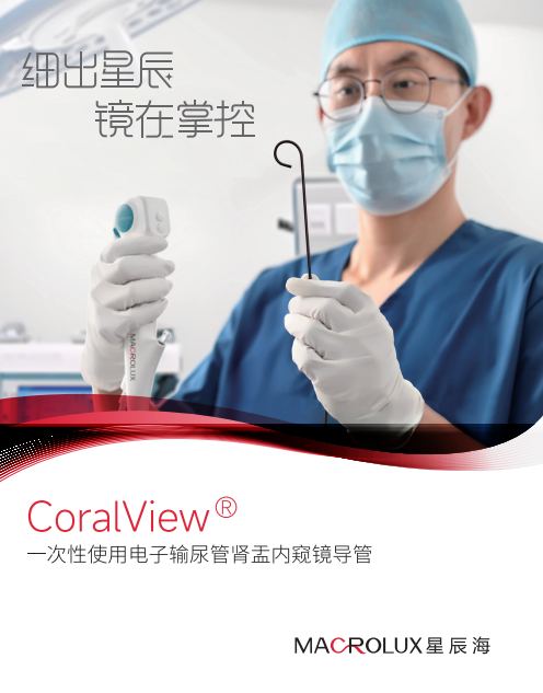 星辰海-一次性使用电子膀胱肾盂内窥镜导管